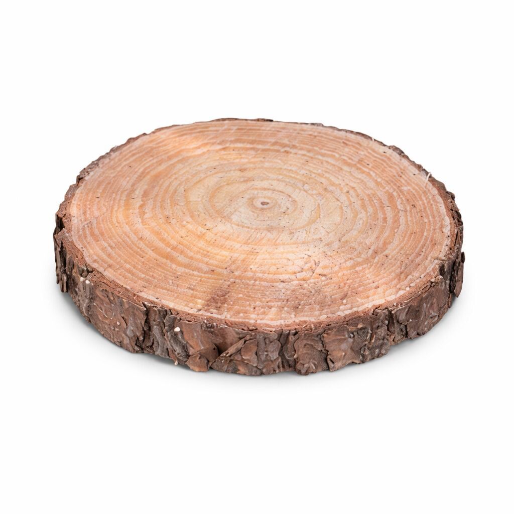 Bolacha de Madeira Natural 10 a 20cm Rústica Reflorestada | Base para Artesanato, Decora