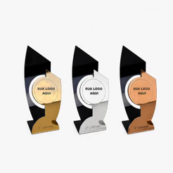 Kit 03 Troféus Personalizados Em Acrílico Espelhado 25cm