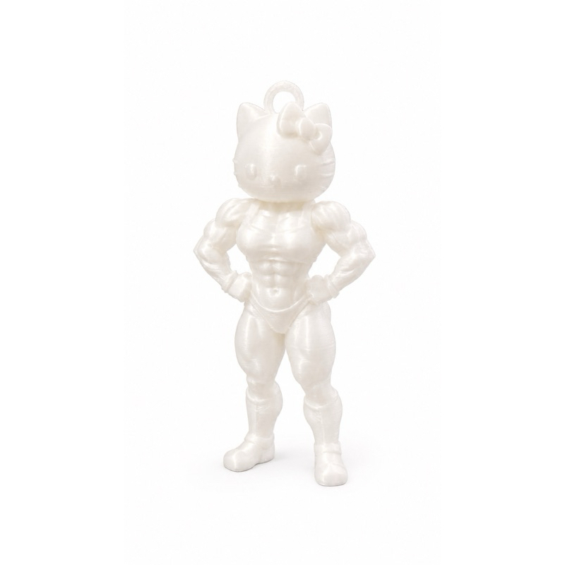 kit 8 Chaveiro Gatinha Fitness 3D Personalizado | Boneco Musculoso | Várias Cores | Impressão 3D