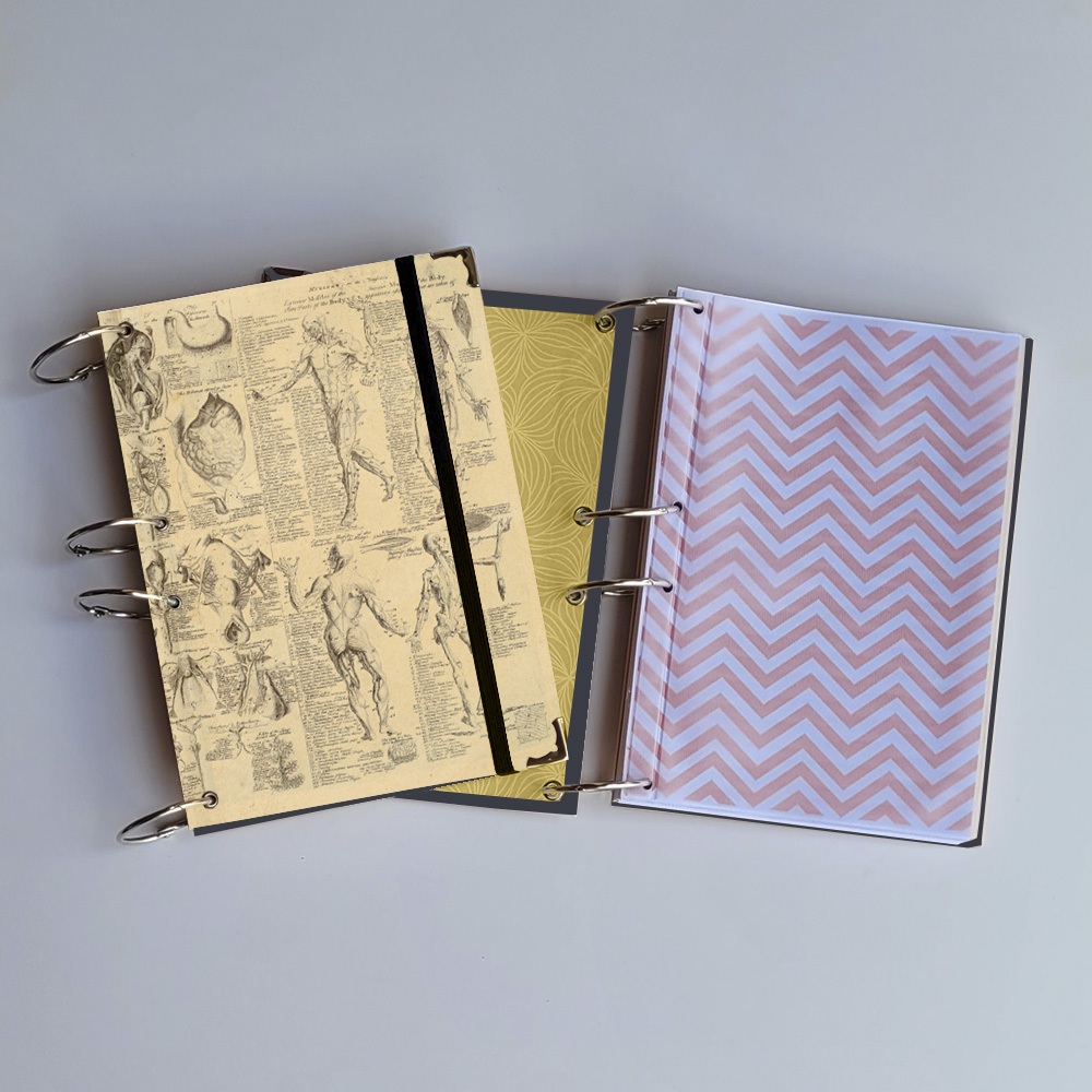 Caderno Argolado Anatomia (Capa e Argolas) Universitário Colegial A5 Fichário