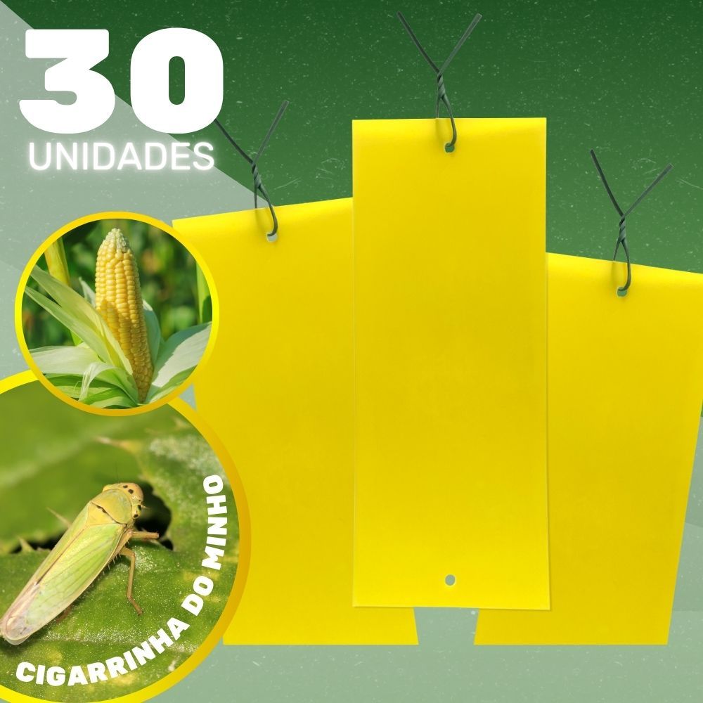 Yellow Trap Pro 30 Unidades Uso em Hortas e Estufas - Colly