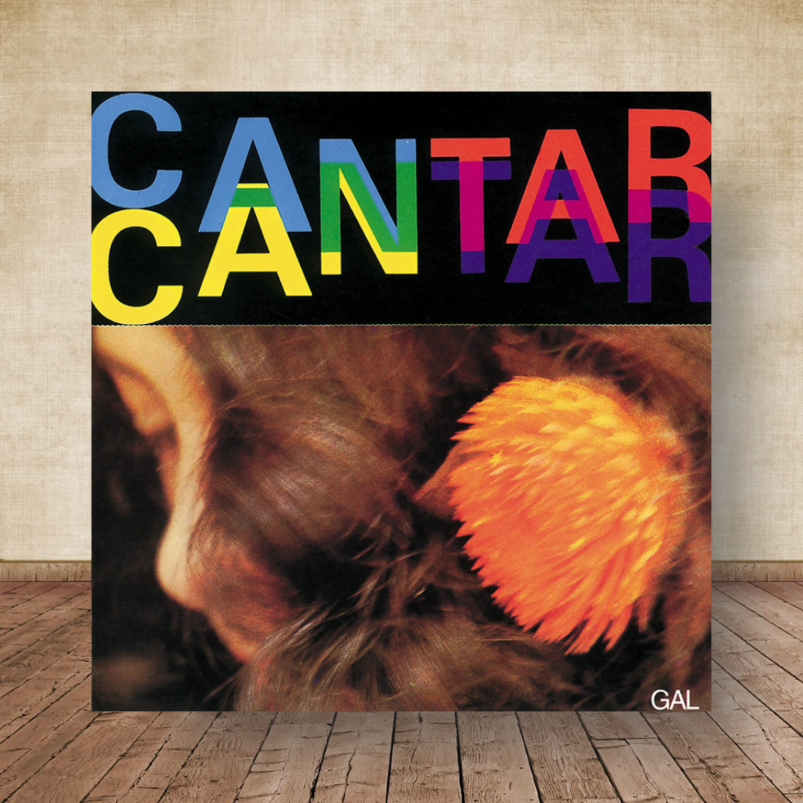 Quadro Placa Decorativa Gal Costa Albuns de MPB Disco LP decoração 01
