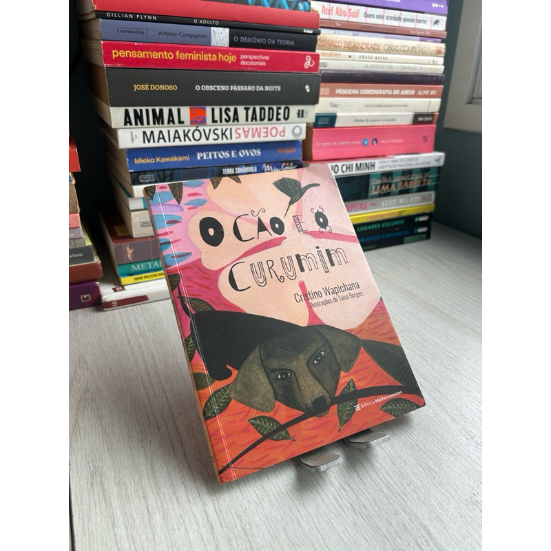 O Cão e o Curumim por Cristino Wapichana
