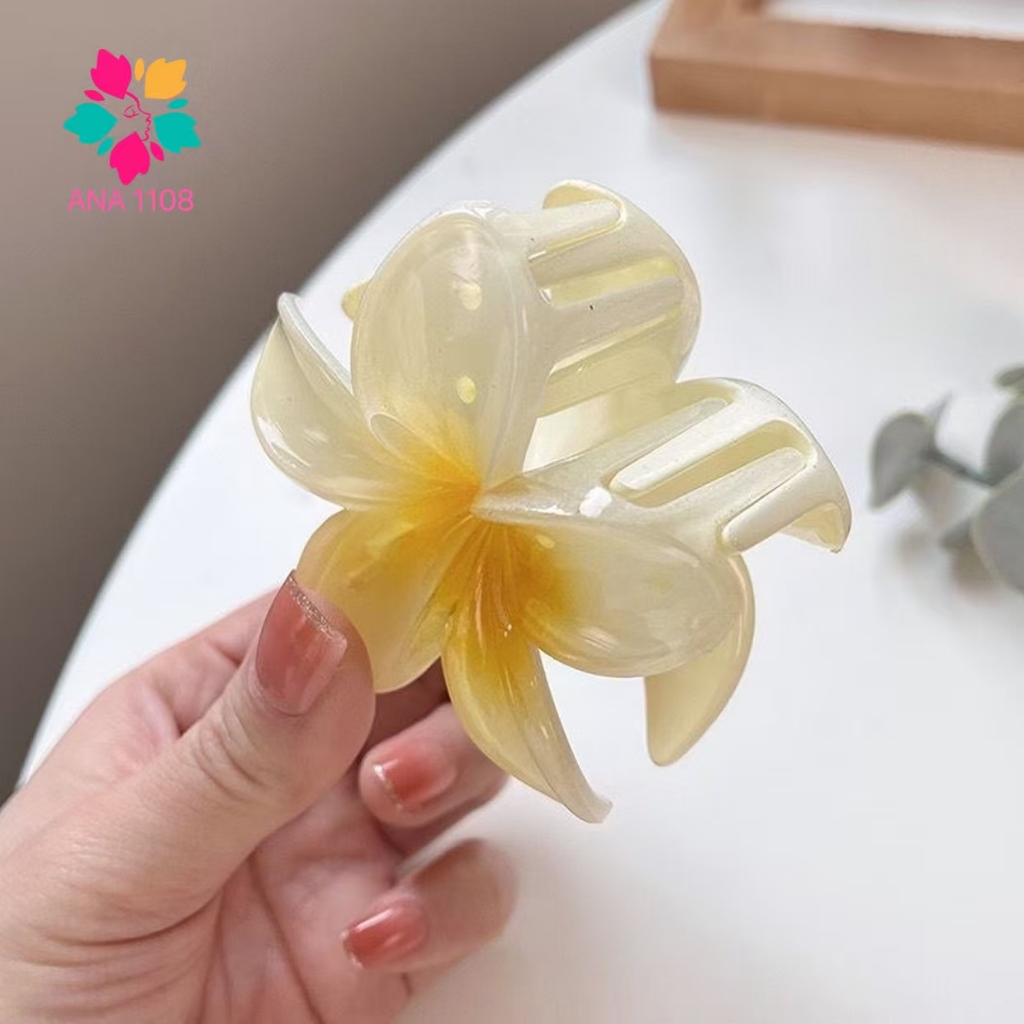 ANA 1108 Kit with 12 pieces of flower hair clips Presilha para Mulheres · foto 2