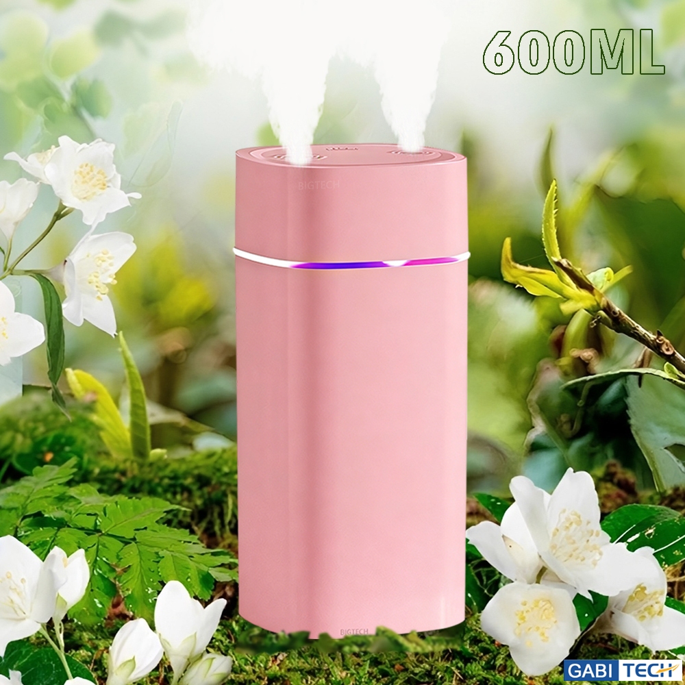 Umidificador De Ar Aromatizador Ultrassônico Bico Duplo De Ambiente Purificador LED Portátil De Carro 600ML
