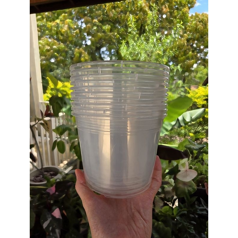 Kit 10 Vasos Transparentes tam.15 - Orquídeas, Anthurium, Philodendron E Planta Ornamental- ideal pra ver o enraizamento
