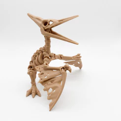 Pterodactilo Esqueleto Pterodon esqueleto de dinossauro articulado