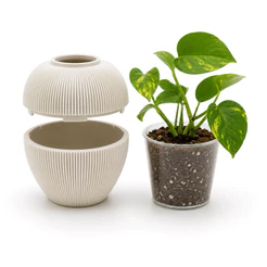Vaso Autoirrigavel Decorativo com reservatorio e planta
