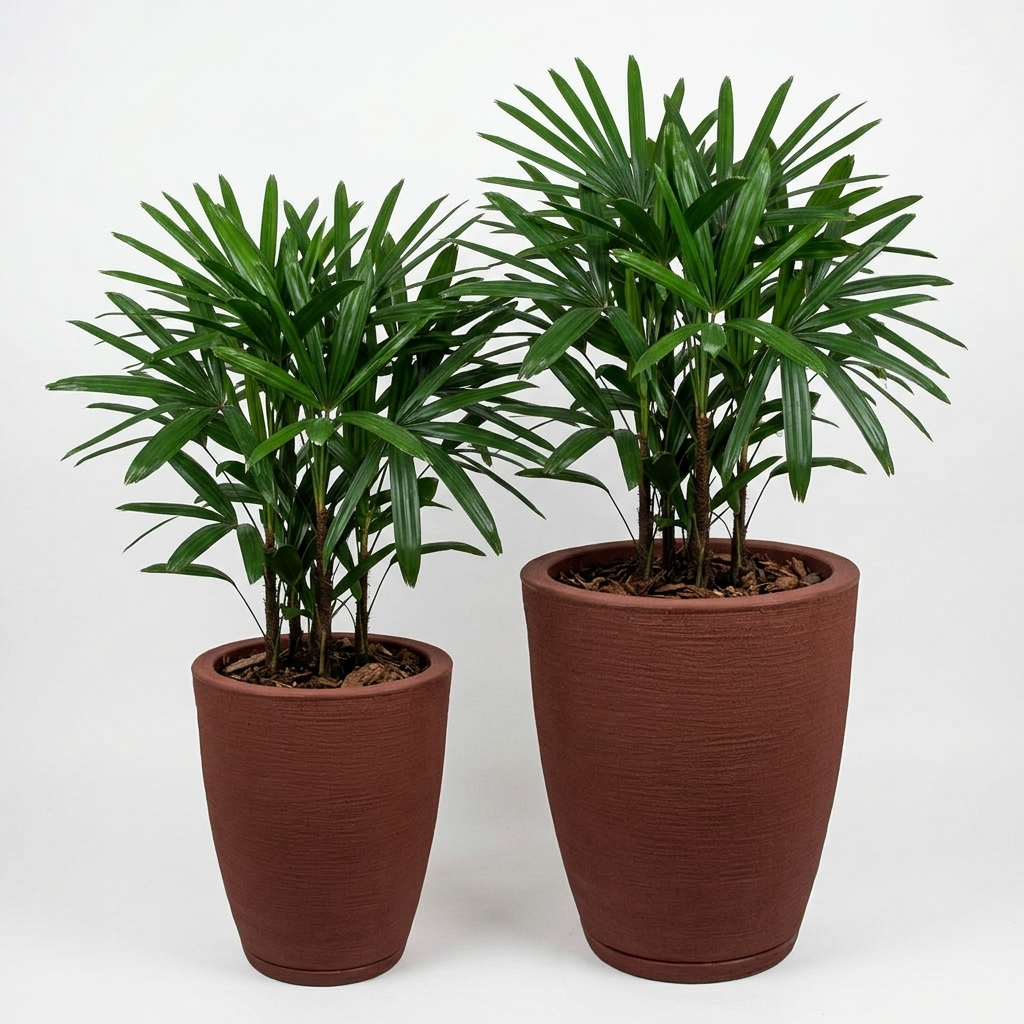 Vasos de Plantas Grandes Escovados com Prato Coletor | Polietileno para Jardim e Varanda