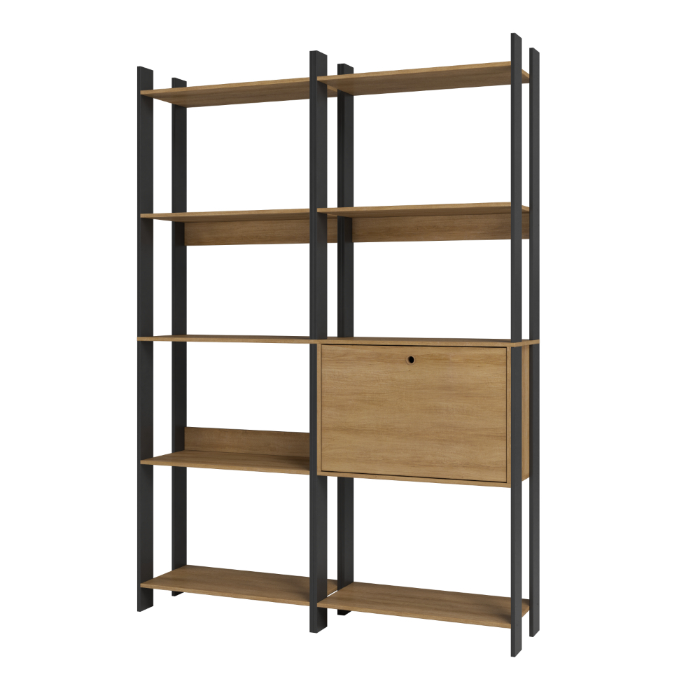 Kit 2 Estantes para Livros 1 Porta 10 Prateleiras Estilo Industrial Cor Lâmina Mel/Preto - BRV Móveis