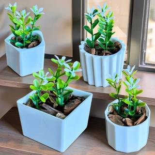 "Mini Vasinhos Decorativos por R$ 17,90 🌿"
