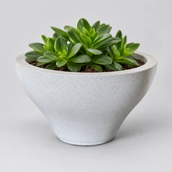 Vaso para plantas decorativo em polietileno Coluna Taça Lisa Com Prato medidas 24cm x 35cm x 16cm