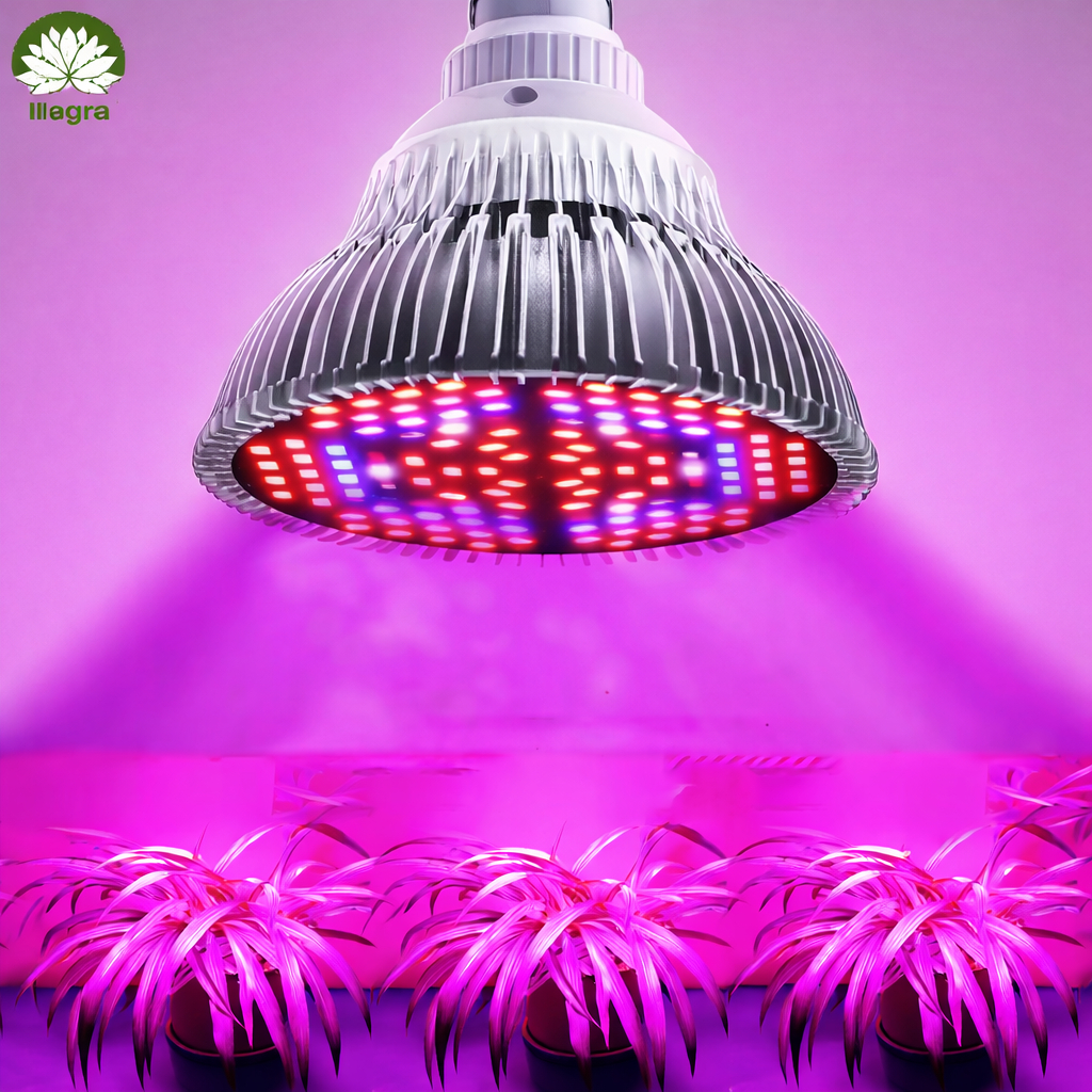 Lâmpada Para Plantas Crescer Led Grow 28W Cultivo Estufa Indoor em Oferta na Shopee