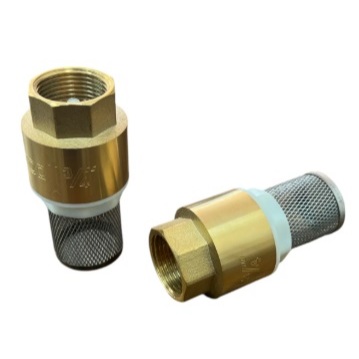 Válvula De Retenção Fundo De Poço Com Tela Inox 3/4''