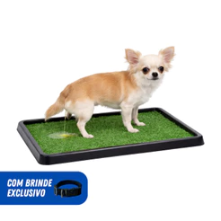 Tapete Higiênico Grama Sintética Sanitário Pet Lavável Cães e Gatos + Coleira ENVIO IMEDIATO