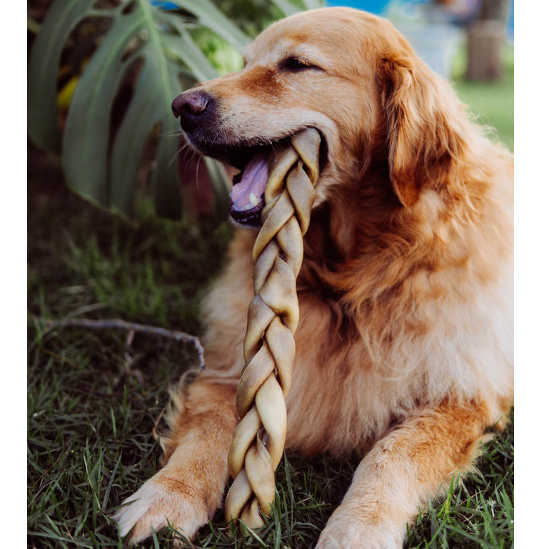 Mordedor Natural Pet Trança Bovina Sem Pelos para Cachorro - Natuka