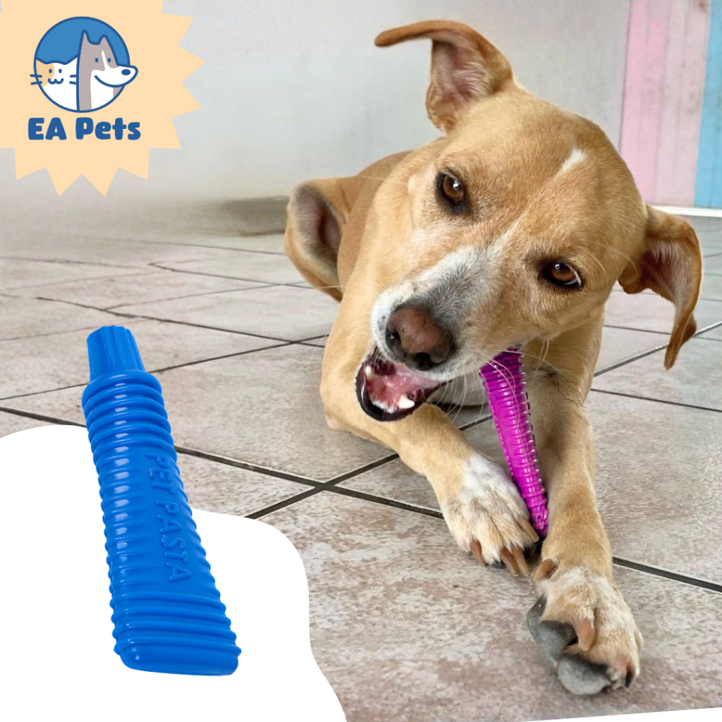Mordedor Em Nylon Da Pet Games Pet Pasta Super Resistente Brinquedo Cão Ocupacional Cachorro