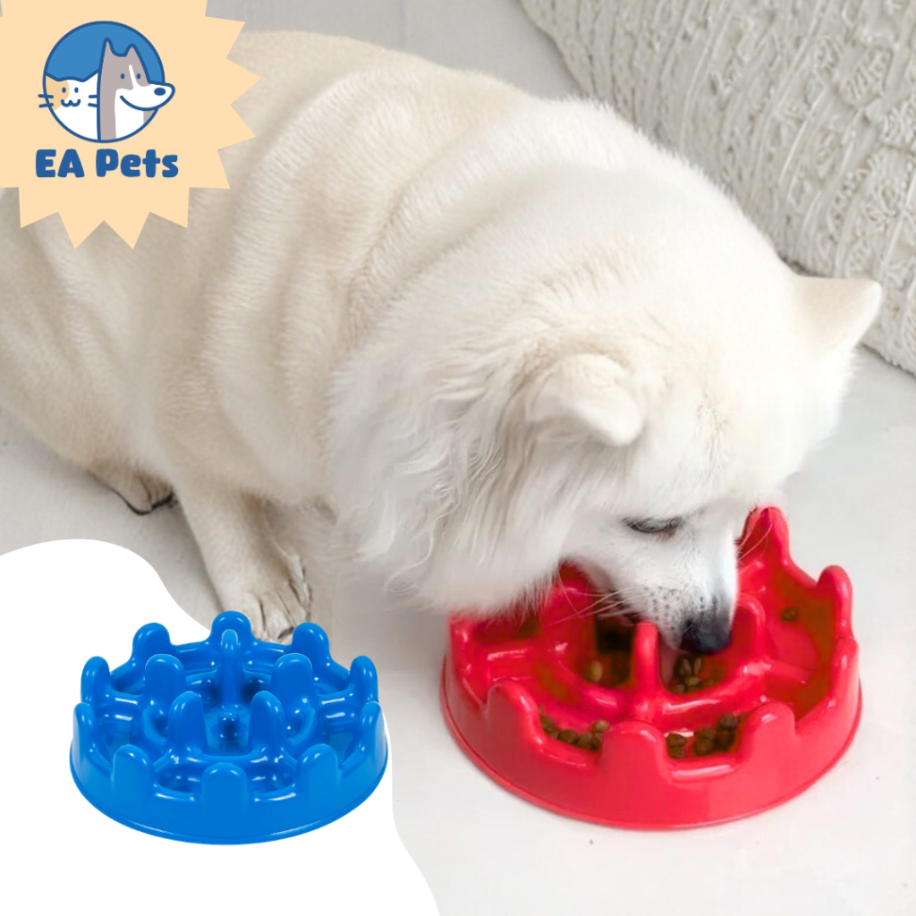Comedouro Lento Da Pet Games Mini Pet Fit Para Cão Porte Pequeno Divertido Saudável Para Cachorro em Oferta na Shopee