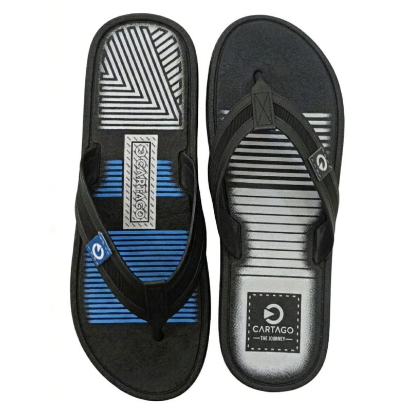 Kit 2 Pares Chinelo Masculino Cartago Sandália Antiderrapante Confortável Leve 2 Pares Pelo Preço De Um