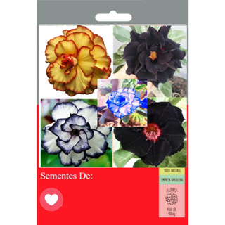 MIX 30 Tipos Rosa do Deserto Raras Triplas/ DobradAs 5 Sementes em Oferta na Shopee