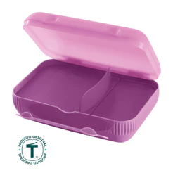 Porta Lanche Tupperware com Divisórias