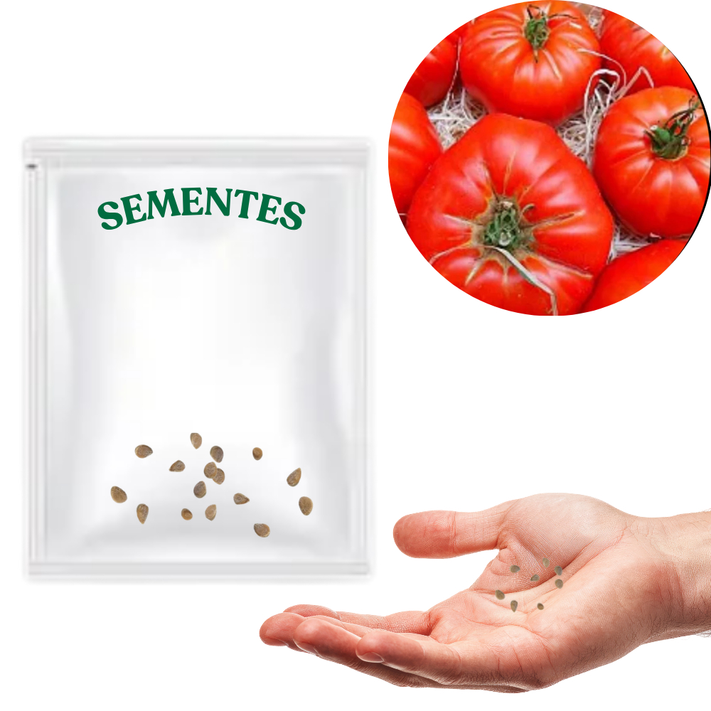Sementes S52 Tomate Gaúcho Maçã Marmande - Cultive Tradição e Robustez Clima tempo Utilidades