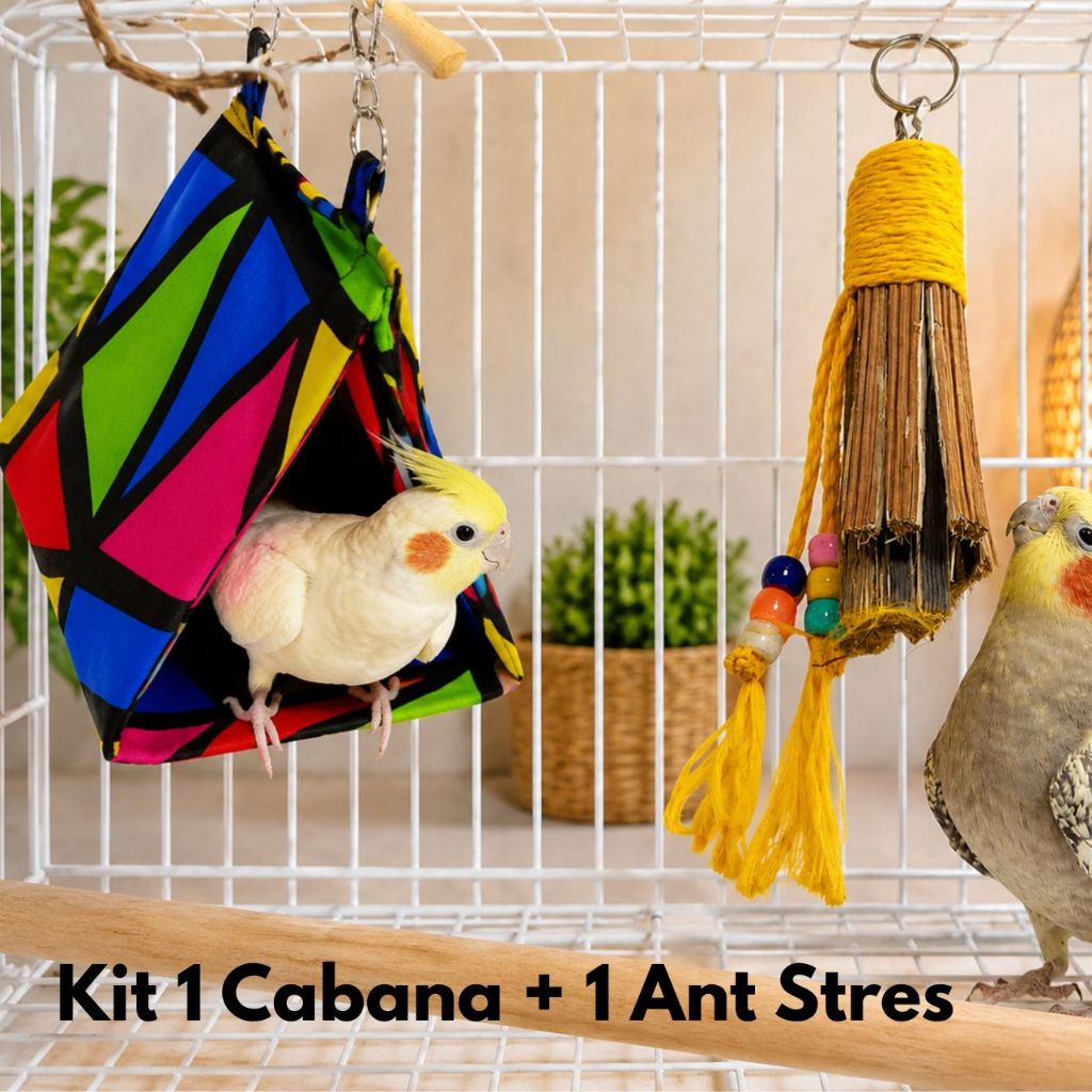 kit 2 Brinquedos Para Calopsita  Anti stress + Cabana Tenda Para Passaros Aves Periquito