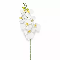 1 Orquidea Artificial Silicone 3d Haste Flexivel Parece Real Decoração Mesa de Centro Jantar