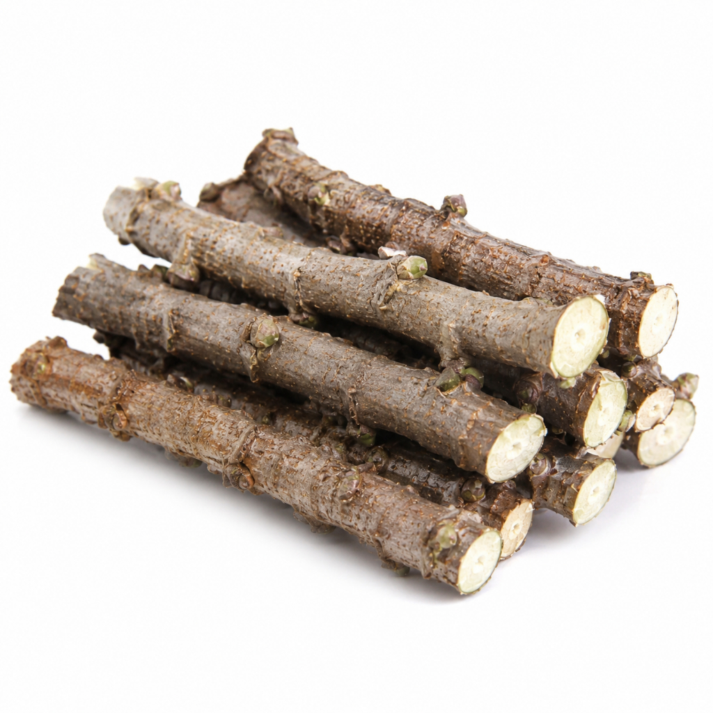 11 Ramas de Mandioca Para Plantio – Maniva Selecionada Alta Produtividade Fácil Cultivo