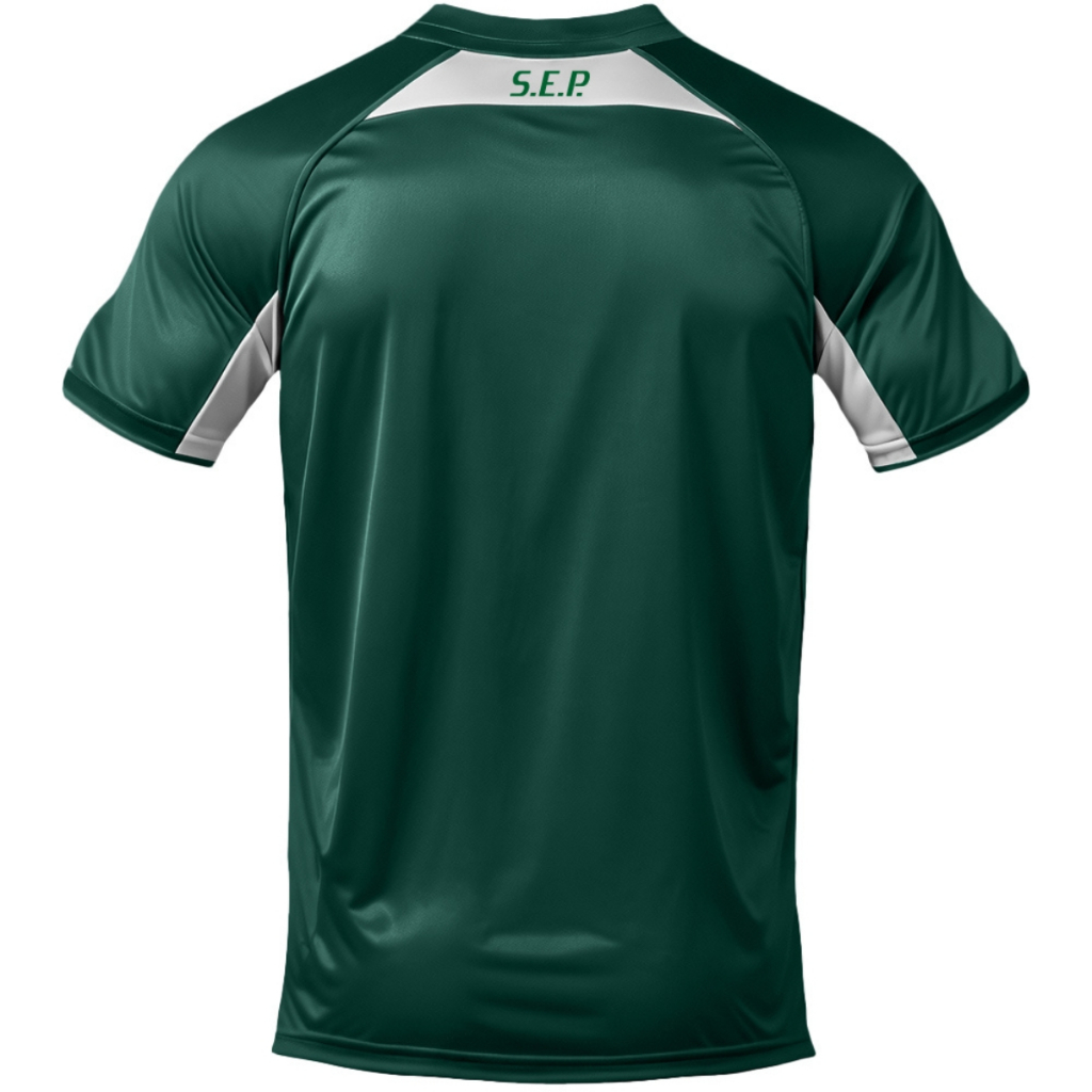 Camisa Palmeiras Player Ii Casual Adulto Licenciada Original · foto 2
