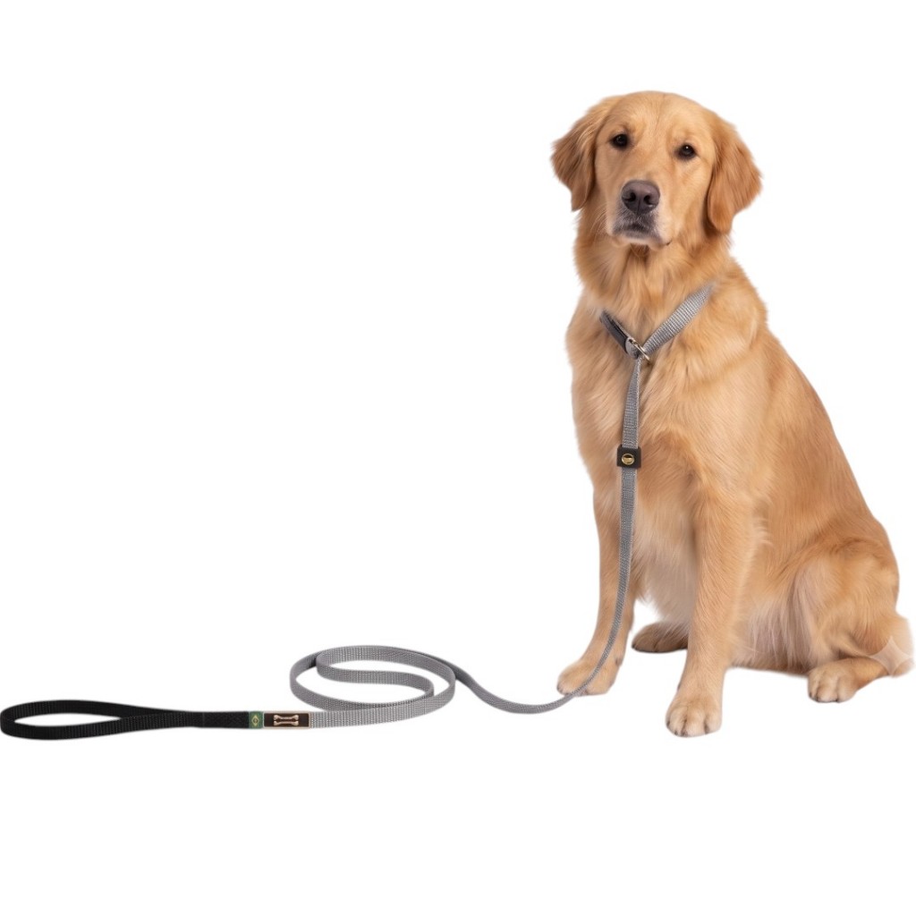 Guia Cinza Unificada Adestramento Passeio Cachorro Grande Cão Golden Labrador Fila Pitbull Alabai