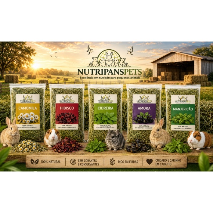 Kit Fibra Alimentar Feno Sabores 05 unid Hibisco Camomila Cidreira Amora Manjericao