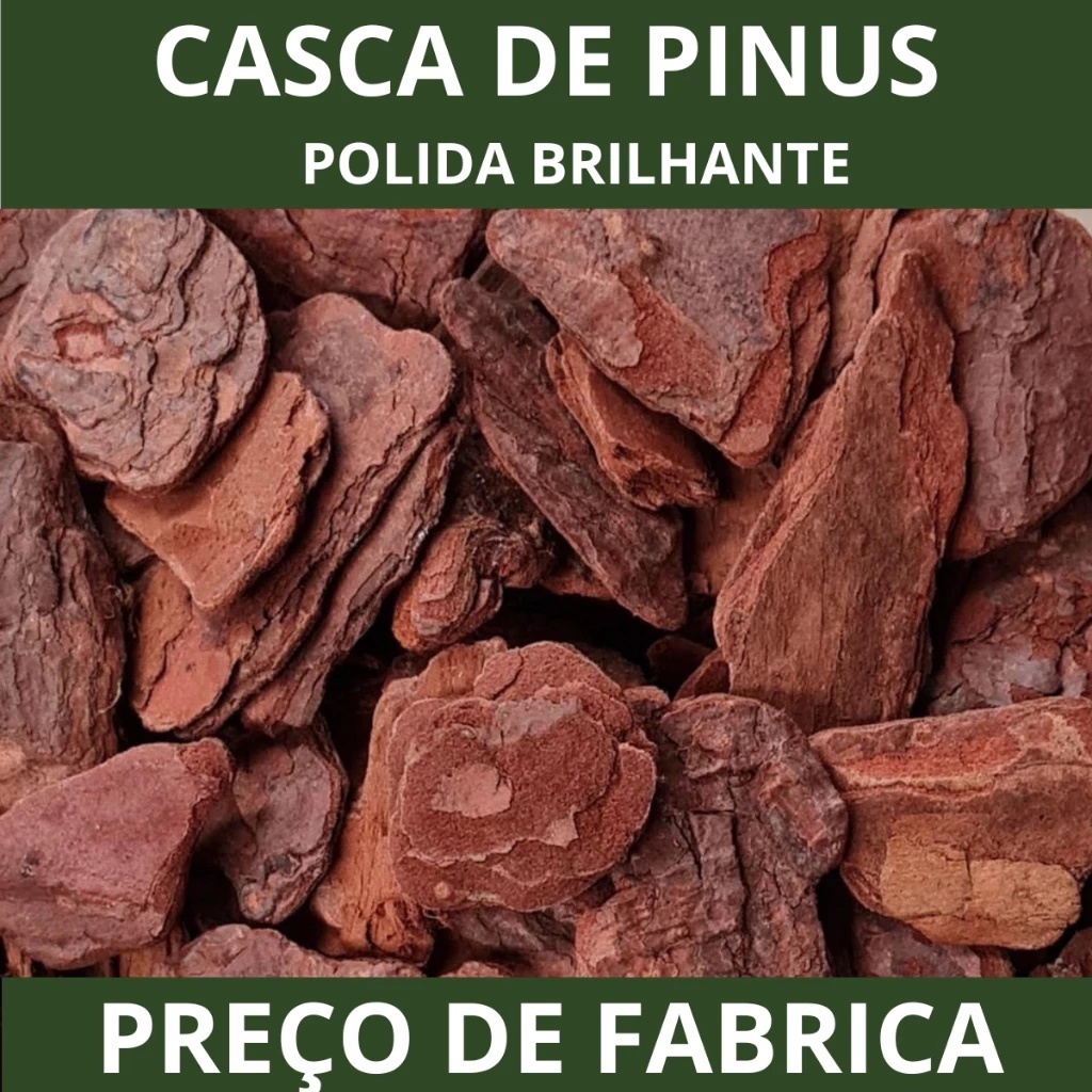 Casca De Pinus Polida Natural Selecionadas Jardinagem Decoração de Plantas Saco