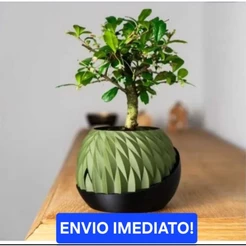 Vaso Autoirrigável com Reservatório – Rega Sozinha, Chega de Planta Murcha