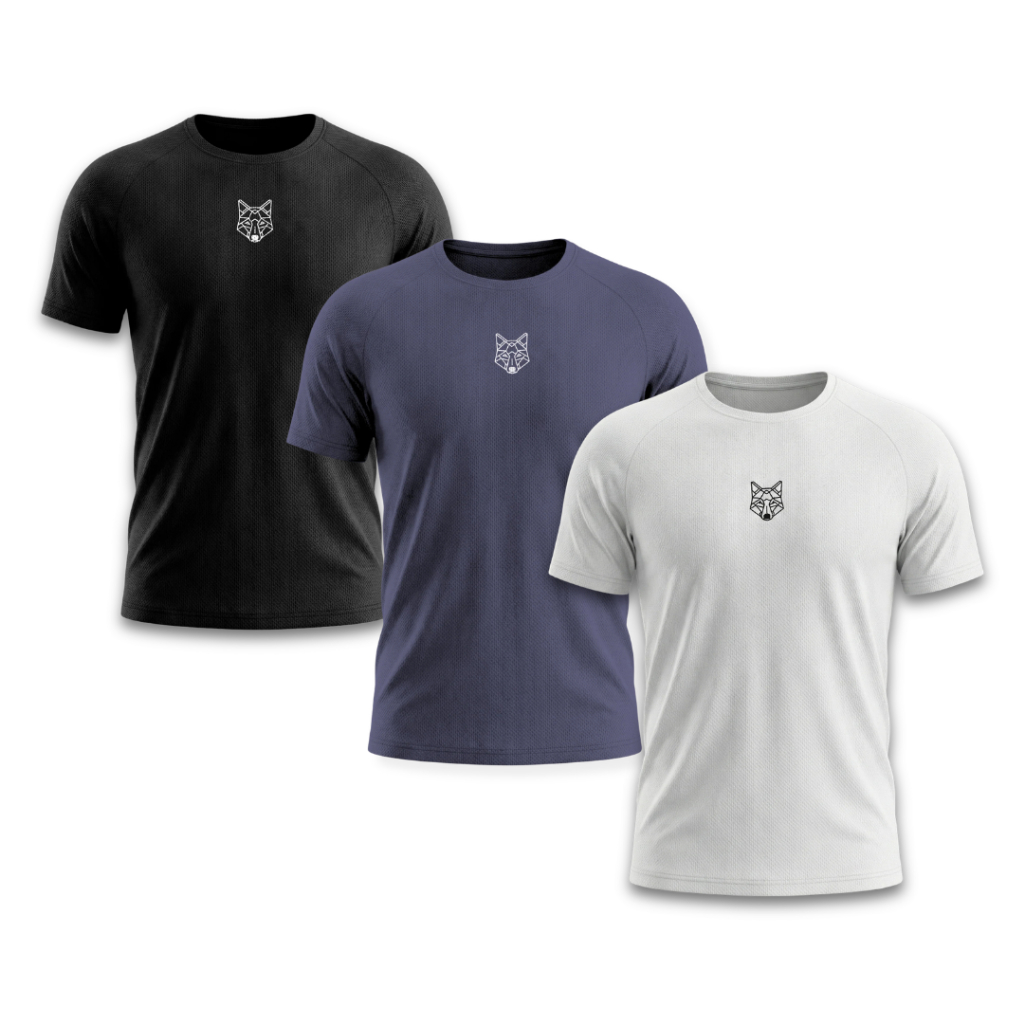 Kit 3 Camisetas Dry Masculina Treino Academia Alpha