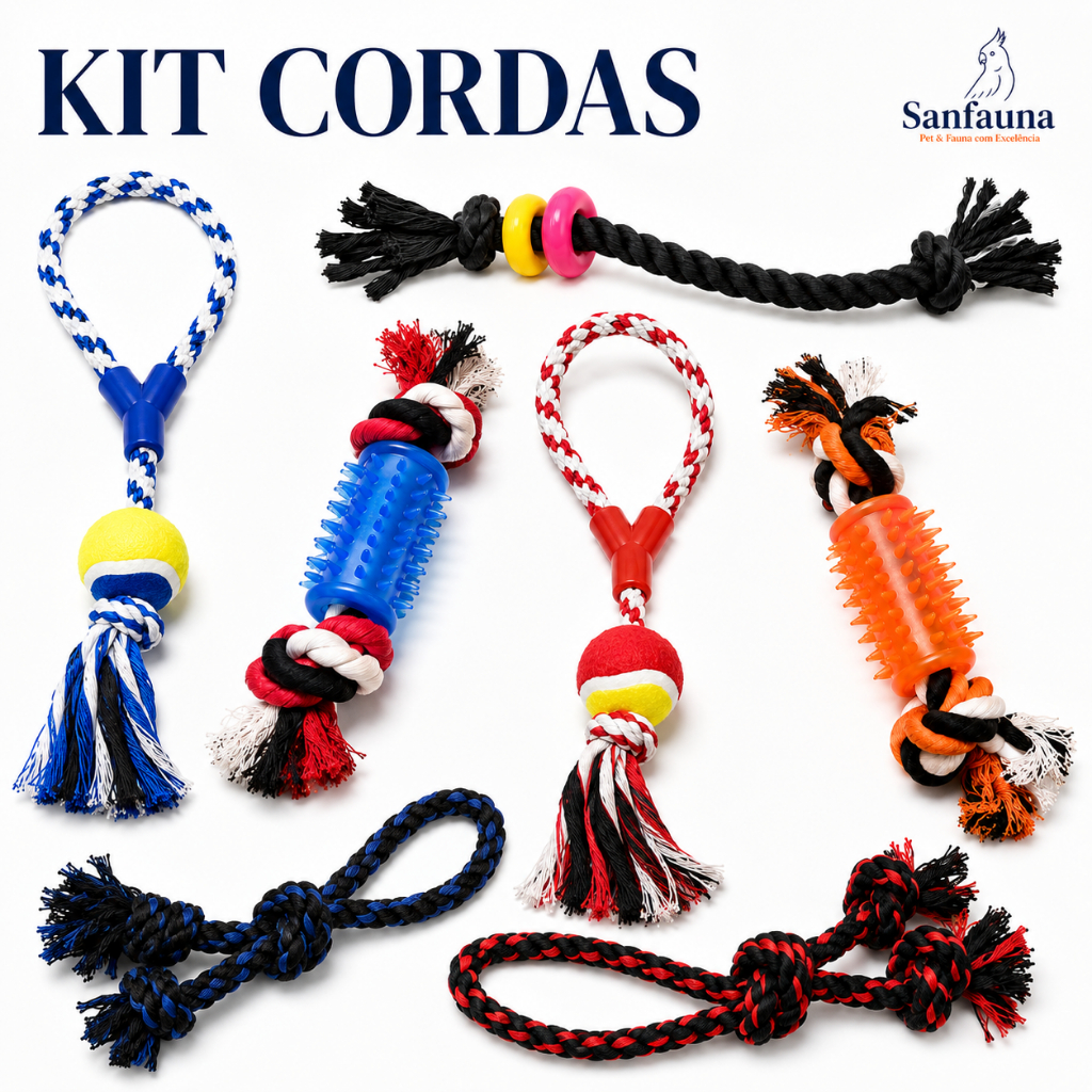 Kit Brinquedo para Cachorro Corda Mordedor Pet Interativo Pequeno Médio Grande Porte Resistente