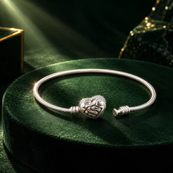 Pulseira Para Berloques Ane Lovers Prata 925 Elegante