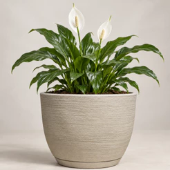 Vaso Polietileno Para Plantas Jardim Sala Luxo escovado bojo N2 Com Prato