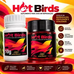 Hot Birds - Amgercal