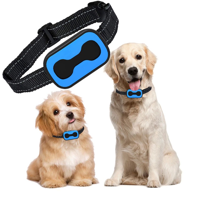 Coleira Anti Latido Adestramento Recarregável Vibração Som Sem Choque Cachorro