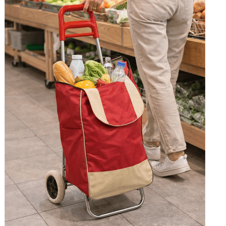 Carrinho de Feira Dobrável com Bolsa Grande Rodinhas Carrinho de Compras Mercado