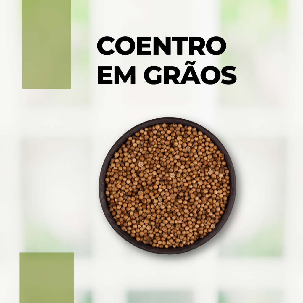 Coentro em Grãos 100g 200g 300g | Tempero Natural Aromático para Carnes, Feijão e Conservas