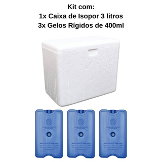 Caixa Térmica de Isopor 3 litros + 3 Gelos Reutilizáveis GR400 400ml em Oferta na Shopee