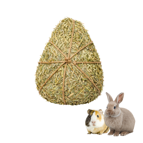 Ovo De Páscoa Petisco Natural Para Coelhos Porquinhos Da Índia Chinchila Edição Ilimitada