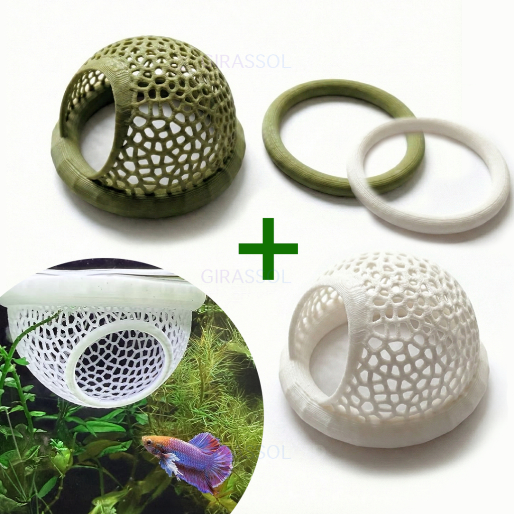 2 Kit Toca Esconderijo Betta + Anel Alimentação - Anti Stress Peixes Aquário - Médio/Grande