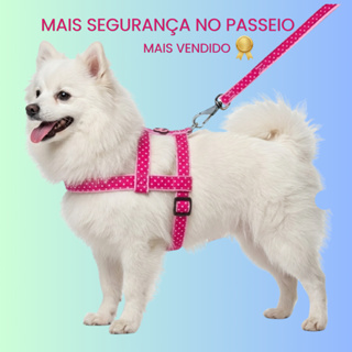 Kit Peitoral Para Cachorro Com Guia Nylon Ajustável Passeio em Oferta na Shopee