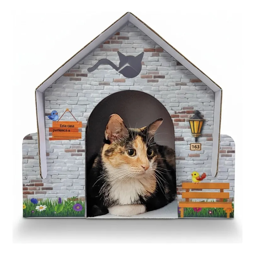 Toca Buddy Casinha Para Gatos De Papelão Resistente