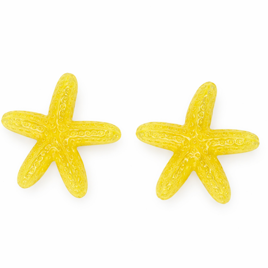 Brincos feminino Estrela do Mar Resina Colorida – Acessório Feminino Tropical - Moda Praia  Verão