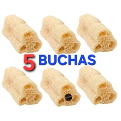 Esponja Bucha Vegetal Natural 100% Ecológica - Kits C/ 05 Á 24 Unidades