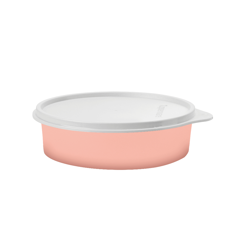 Bazar 30,00 Tupperware Novos e originais